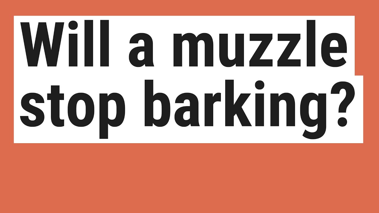 Will a muzzle stop barking?