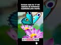 Elas usa AS ASAS ATRAIR OS PREDADORES #videoshort #viral #ultra10k #shortsvideo