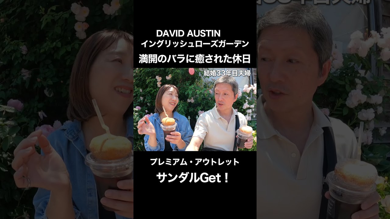 今が見頃!ローズガーデン|アウトレットでお買い物!#50代主婦 #shorts #50代主婦 #夫婦ふたり暮らし