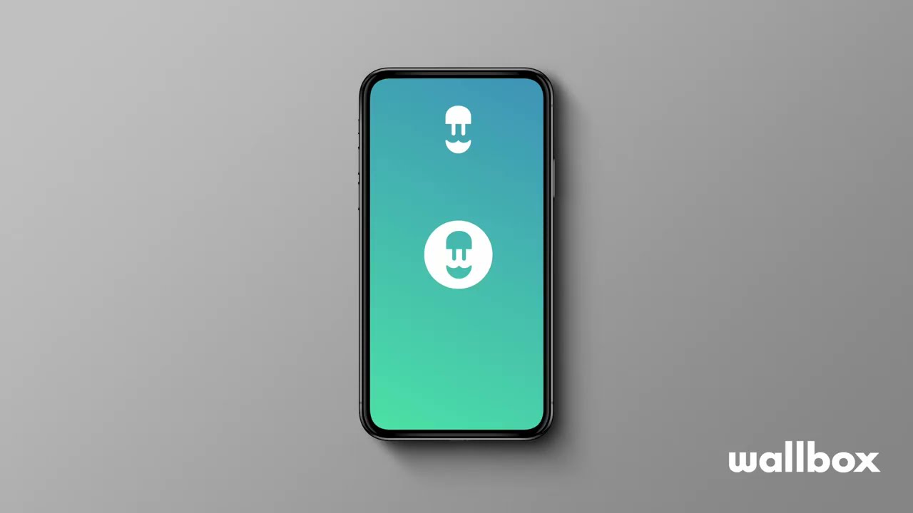 MyWallbox App Manual