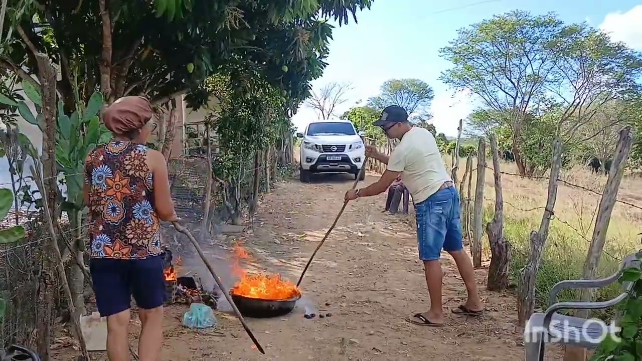 TARDE DE ASSAR CASTANHA NO SITIO