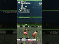 Unbelievable squash  🙌 More of this please 🍿#squash #sports