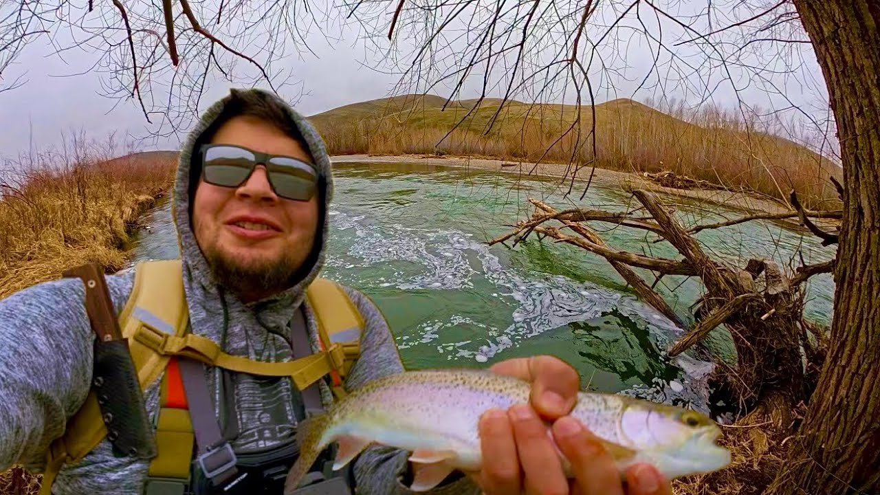 Winter low flows, WA