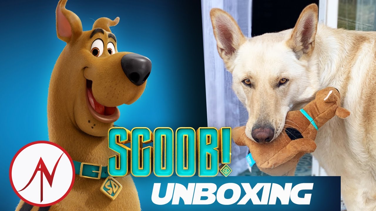 What a REAL dog think about the Scoob themed bark box...