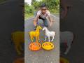Remote Control 2 ta horse | horse Rc | Rc animals #animals