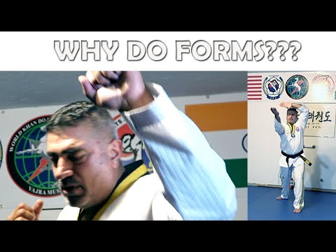 Why Do Martial Artists Do Forms?