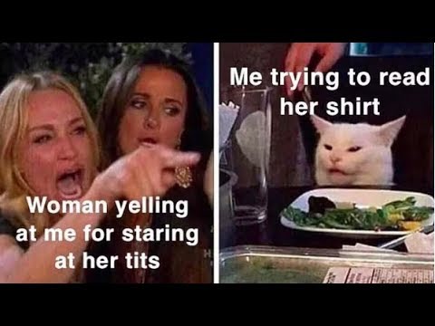 woman-yelling-at-confused-cat-meme-compilation-smudge-the-cat