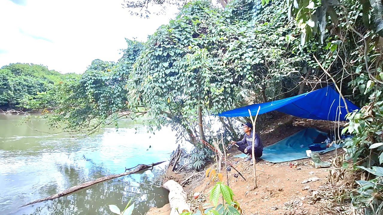Cam fishing berlama di sepot baru sungai wahau kalimantan timur episode 43