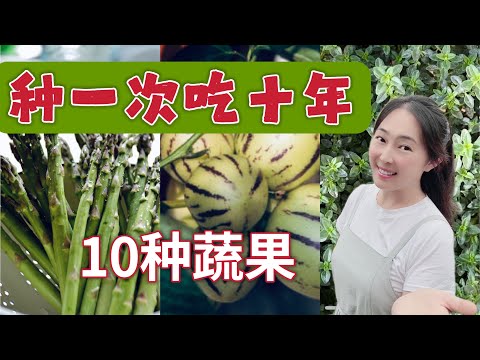 【种植70】 10种蔬果种一次吃十年，多年生的蔬菜，懒人种菜必看 ｜10 perennial vegetables and fruits must have in your veggie garden