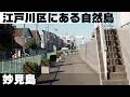 妙見島