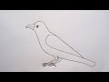 How to draw crow drawing easyaarav drawing creative