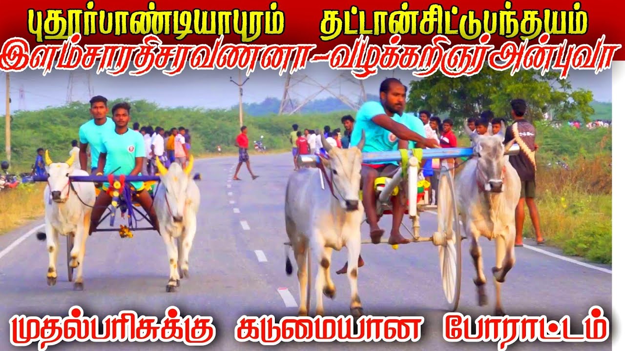 புதூர்பாண்டியாபுரம் தட்டான்சிட்டு முதல் சுற்று பந்தயம் 