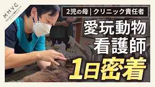 【二児の母、そしてクリニック責任者|愛玩動物看護師の1日に密着】
