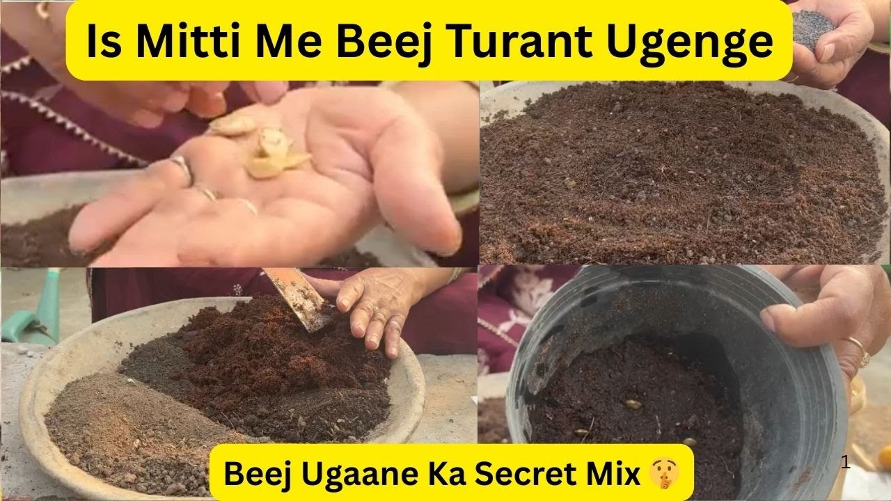 Beej Ugaane Ka Sabse Aasan Tarika | 5 Cheezon Ka Soil Mix | 100% Germination