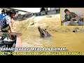 WOWw detik-detik buaya riska ngejar berang2 dan kabar terbaru keaadaan biawak !?