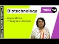 Biotechnology - Transgenic Animals