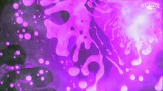 Astroflex - Fallopius