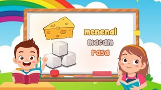 Belajar Mengenal macam - macam rasa | sekolah anak negeri | video edukasi anak |