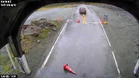 Homer Tunnel kea developing new skills on the side