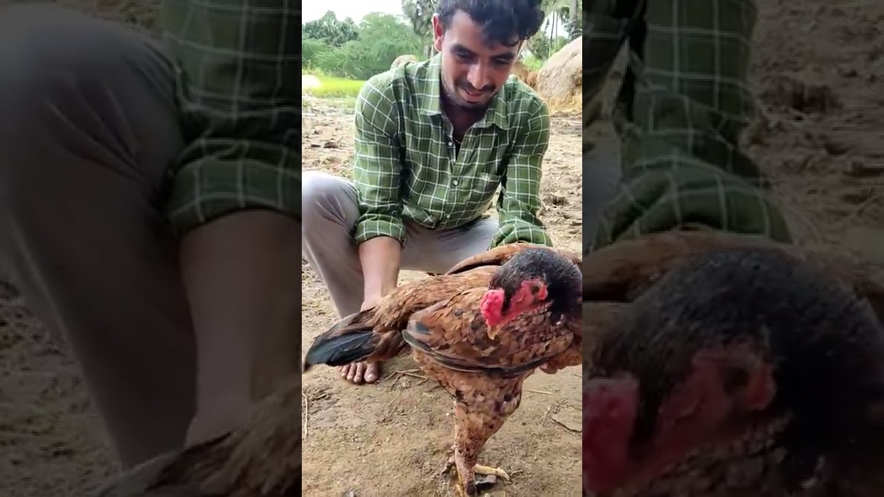 vidikalla kodi 🔥ela vundi friends🔥