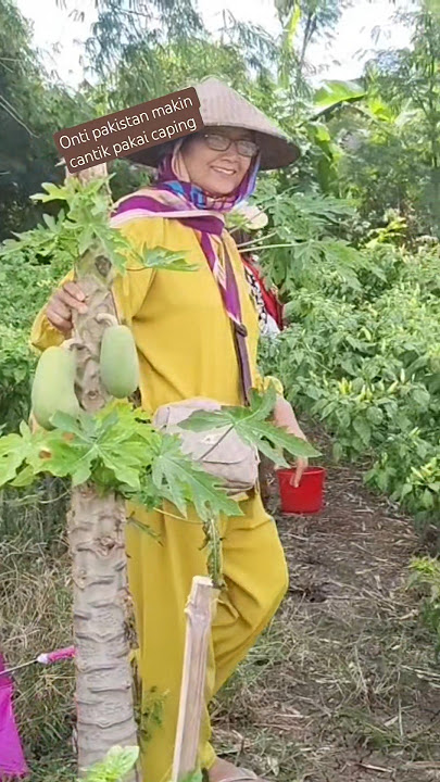#onti #pakistan #cantik #capinggunung #panen #caberawitori212 #fypシ゚viral #funny #fypシ #gardening #
