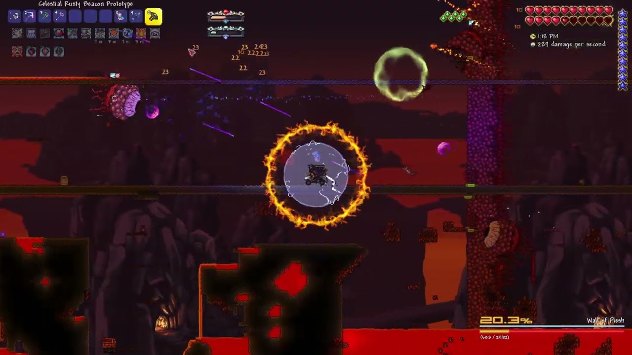 Terraria Calamity Wall of Flesh (Master Death Summoner)