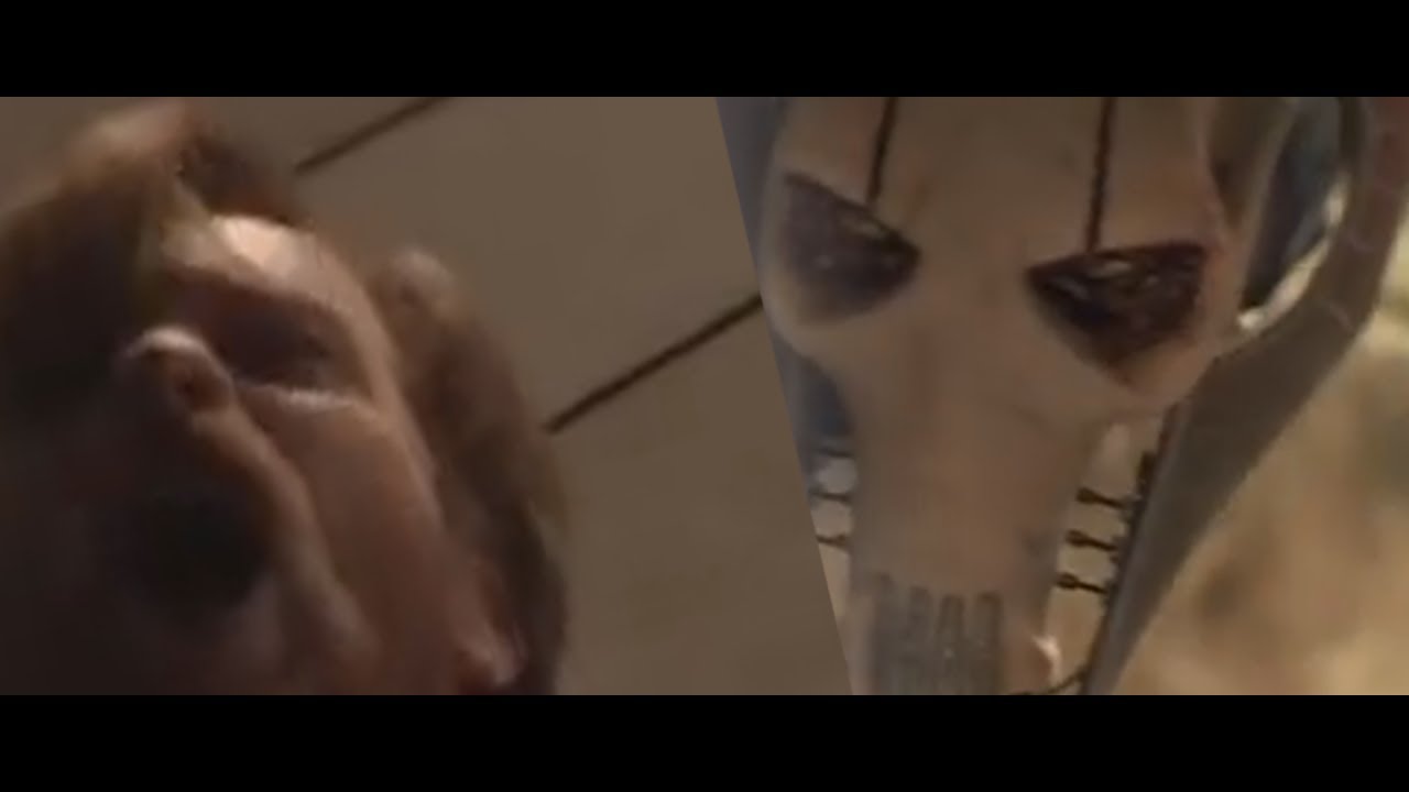 General Grievous and Obi-Wan Kenobi kick each other to death