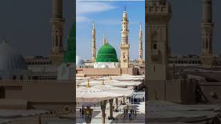 islamicpost #viral #video #hadi ali x1