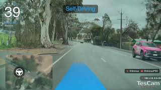 FSD handles blind intersection 