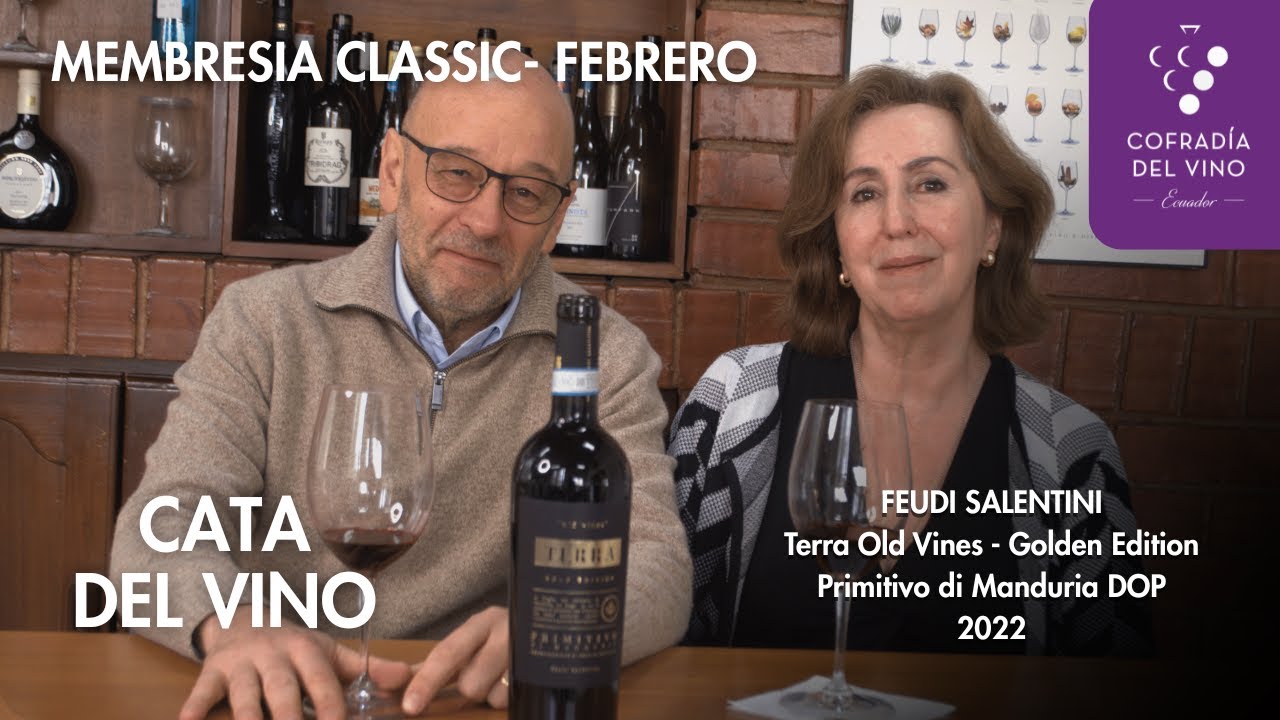 🍷 MEMBRESÍA CLASSIC Feudi Salentini – Terra Old VinesGolden EditionPrimitivo di Manduria DOP 2022