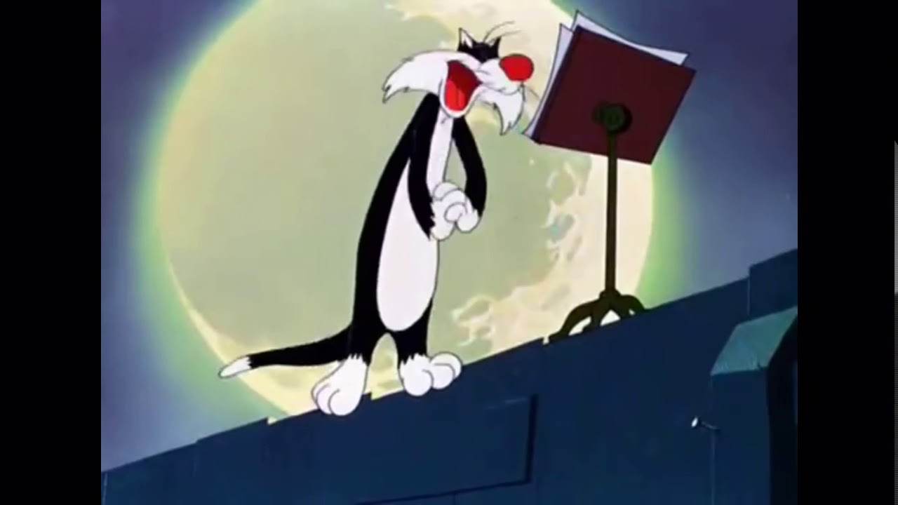 Looney tunes-Figaro