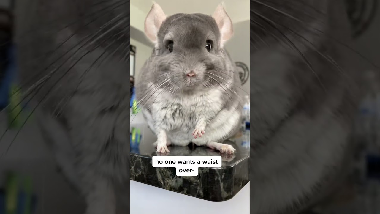 🚨 Обещаю, это всё пушистое! 😅 Оно было очень свободным и эластичным! 