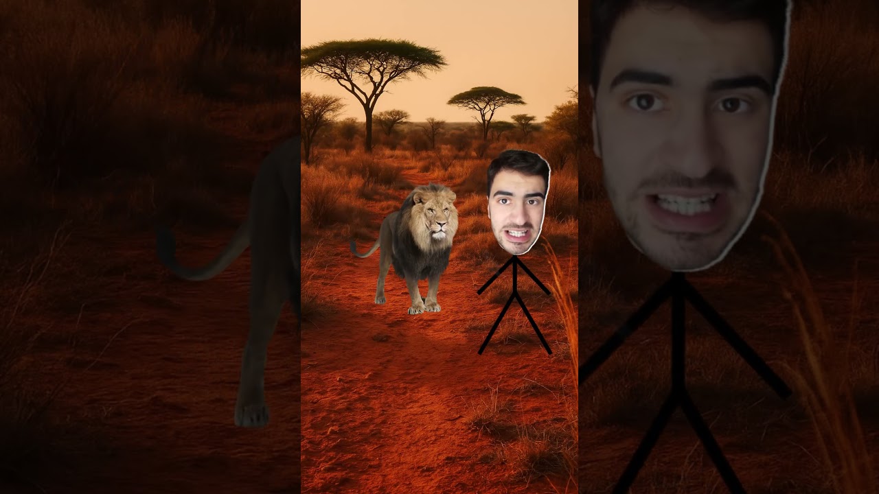 Überleben und Intuition: Stille Signale für unerwartete Situationen