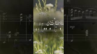 Serenity #piano