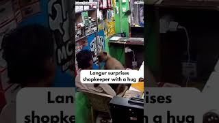 Odisha Langur Hugs Shopkeeper in Heartwarming Viral Video
