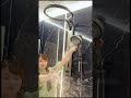 Luxury Shower Panel with Rainfall Ring, Handheld Spray & Body Jets #homedecor