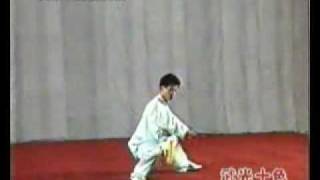basic taijijian 7