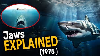 Jaws (1975) Movie Explained In Hindi | FLASH TV