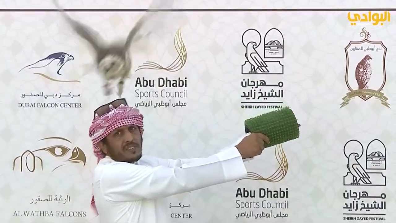 مهرجان الشيخ زايد للصيد بالصقور  فئة العامة شوط جير قرموشة  فرخ