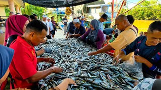 Fresh Catch Landing! Malaysian Purse Seiner TFA2425 Arrives at LKIM Penarik Setiu Jetty