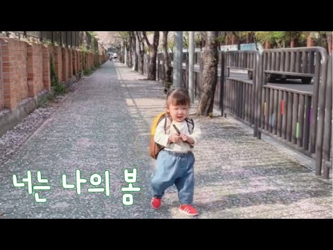 [SUB] 시현이랑 벚꽃 구경💜 기억하고 싶은 순간.. Cherry blossom viewing. /The moment that I want to remember forever.