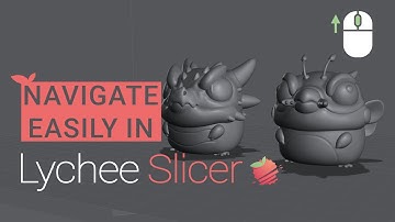 How to use the camera in Lychee Slicer