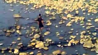 Download Lagu ikan samyong MP3