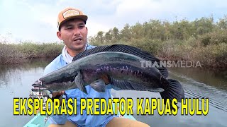 [FULL] EKSPLORASI PREDATOR KAPUAS HULU | MANCING MANIA STRIKE BACK (27/09/25)