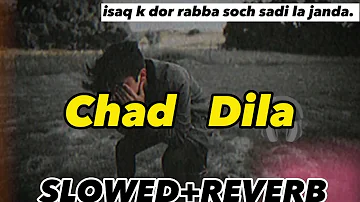 Chad Dila roo na | slowed reverb ♪   SLOWED HAVE SONG ♪. isqa k dur rabba soch sadi la janda  sad