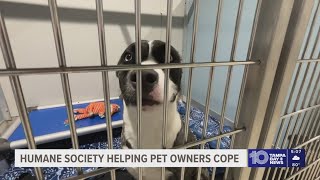 Humane Society of Tampa Bay expands efforts to help families keep pets amid financial struggles