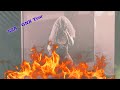 SZA SHUTS DOWN the GNX Tour 😱🔥 | Must-See Performance!