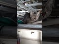 割り込み