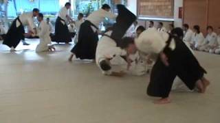 Aikido Sho Dan Exams Part 02 20100527 Hamni Hadashi