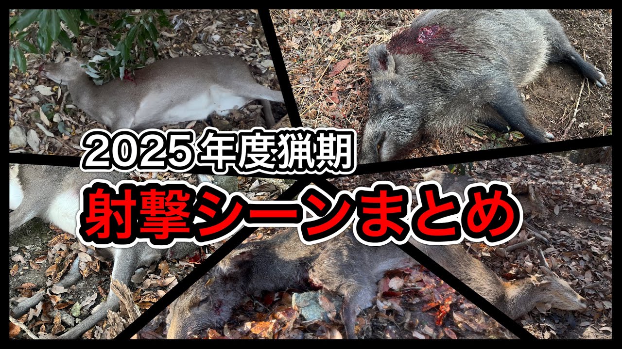 狩猟　　　 猟友会の高齢化や人材不足が深刻…クマやイノシシなど鳥獣被害多発の